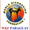 WKF-PARAGUAY-LOGO_1-287x300-1